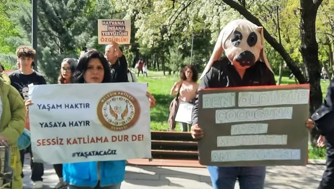 Yaşam Haktır Eylemine Güçlü Katılım: Meleğin Patileri Sahadaydı